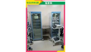 手术室标本管理制度标本双门冷藏柜 FYL-YS-310L