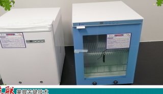 泌尿外科实验室恒温箱FYL-YS-1028LD
