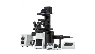 IX83 完全电动化和自动化的倒置显微镜系统