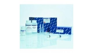 质粒纯化试剂盒QIAGEN Plasmid Plus Kit