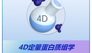青莲百奥4D-DIA定量蛋白质组学