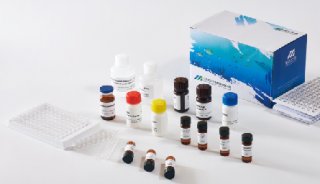 美正磺胺类多残留ELISA检测试剂盒 适用动物组织、鸡蛋、猪尿等样本