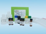呋喃唑酮代谢物检测试剂盒 5017