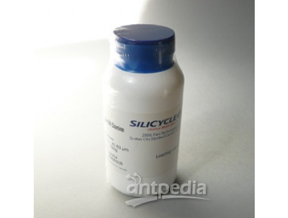 加拿大SILICYCLE公司SiliaMets系列填料Diamine（二氨基，PSA）