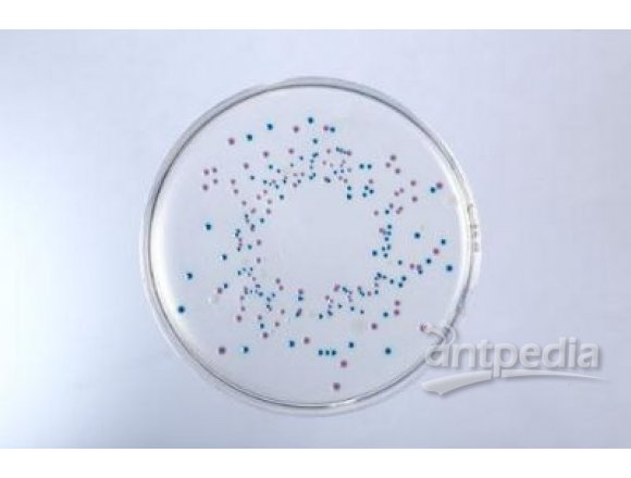 大肠杆菌O157显色培养基(ChromogenicE.coliO157Agar)
