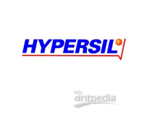 Hypersil ODS 保护柱柱芯