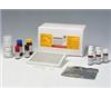 谷氨酸检测试剂盒