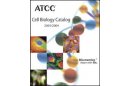 ATCC生孢梭菌