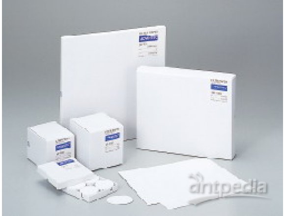 AdvantecGS-25玻璃纤维滤纸
