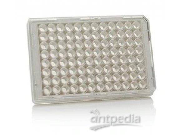 Thermo Scientific™ 152040 Nunc™ MicroWell™ 96-Well, Collagen Type I-Treated, Flat-Bottom, Optical Polymer Base Microplate