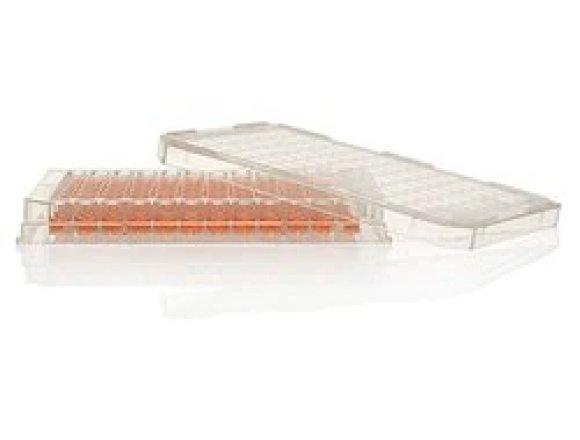 Thermo Scientific™ 161093 Nunc™ MicroWell™ 96-Well, Nunclon Delta-Treated, Flat-Bottom Microplate