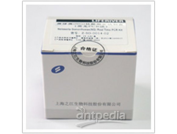 人疱疹病毒6型（HHV-6）核酸测定试剂盒