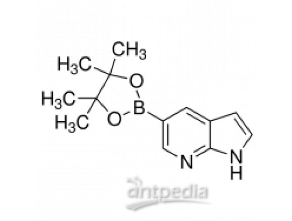 7-氮杂吲哚-5-硼酸频哪醇酯