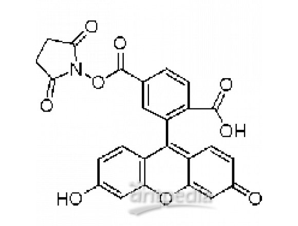 6-羧基荧光素琥珀酰亚胺酯