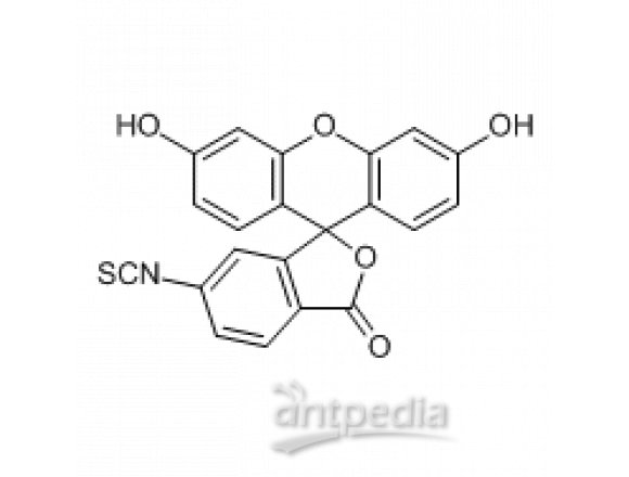 荧光素-6-异硫氰酸酯，同分异构体II（含少量丙酮）