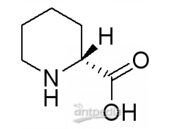 D-哌啶酸