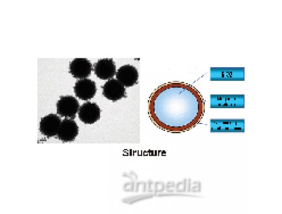 SLC 核壳式二氧化硅磁性微球