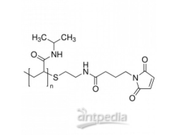 马来酰亚胺封端的聚(N-异丙基丙烯酰胺)