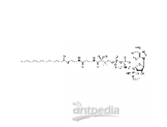tridecanoyl Coenzyme A (ammonium salt)