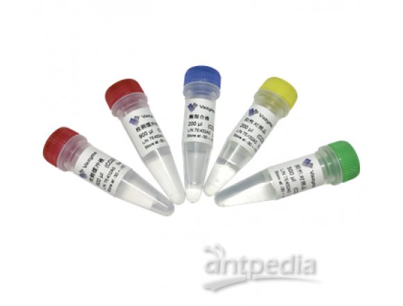 南京诺唯赞新型冠状病毒（2019-nCoV）核酸检测试剂盒（多重荧光RT-PCR法） 