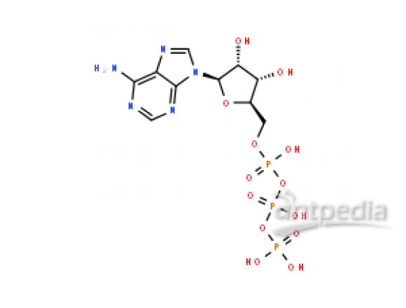 5’- 三磷酸腺苷二钠