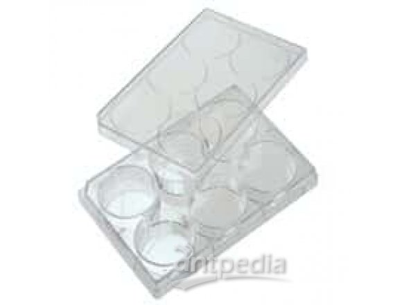 CELLTREAT Scientific Products 229512 12-Well Cell Culture Plate with Lid; 100/cs