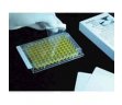 Excel Scientific SealPlate ThinSeal Microplate Film, 25-μm Thick, Non-Sterile; 100/pk, Sterile
