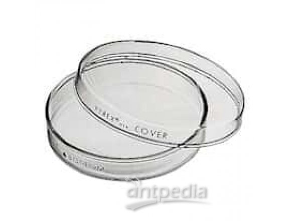 Pyrex 3160-100 Brand 3160 petri dish; 100 x 10 mm, case of 72