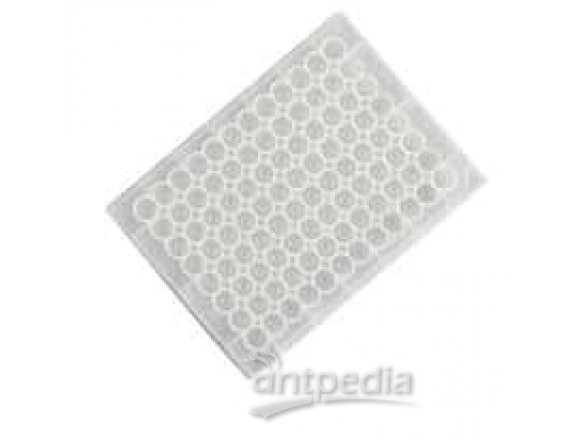 Thermo Scientific Nunc 276002 96-Well Caps for 96-Well Microplates, Nonsterile