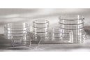 Thermo Scientific Nunc 249964 Sterile Petri Dishes, 140x20mm; 80/Cs