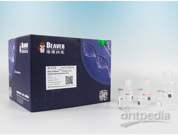 BeaverBeads™ Protein A Immunoprecipitation Kit
