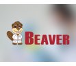 BeaverBeads Mag COOH-280 羧基磁珠
