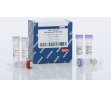 QIAGEN QuantiFast Multiplex RT-PCR +R Kit