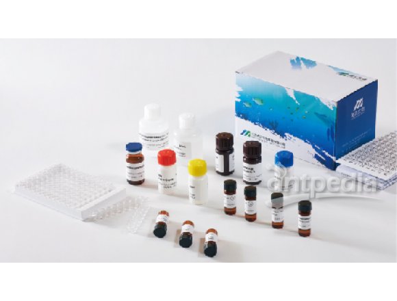 美正三甲氧苄氨嘧啶ELISA检测试剂盒 96T