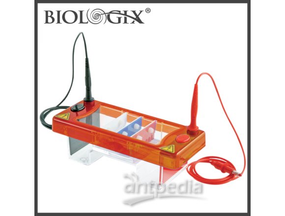巴罗克Biologix水平电泳系统 电泳槽（配70x100 和70x70两块制胶板）03-3070