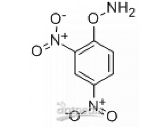 O822821-25g 2,4-二硝基苯基羟胺,96%