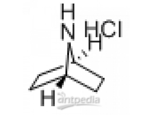 A838868-50mg 7-氮杂双环[2,2,1]庚烷盐酸盐,97%