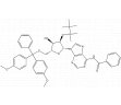O844629-250mg 5'-o-(4,4'-二甲氧基三苯甲基)-2'-o-叔丁基二甲基硅基-N6-苯甲酰基腺苷,95%