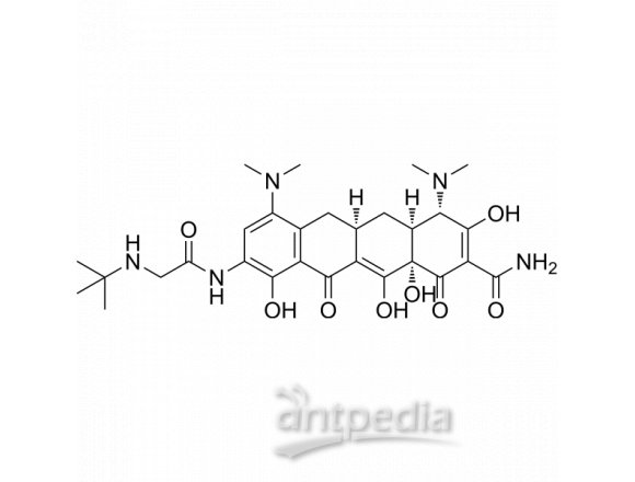 Tigecycline | MedChemExpress (MCE)