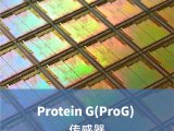 LifeDisc Protein G(ProG) 生物传感器