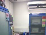 临床试验物资 双门冰箱