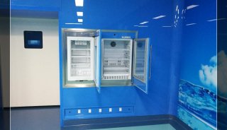 保暖柜(血液加温仪器fyl-ys-150l)投标