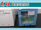 结核病实验室临床检验设备（生化培养箱）FYL-YS-310L