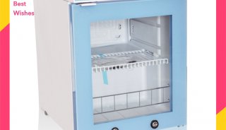 蛋白质纯化(生物化学）实验室冰箱 多功能冷柜（层析柜）FYL-YS-828L