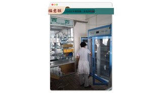 蛋白质纯化(生物化学）实验室冰箱 电加热对开门层析柜FYL-YS-1028LD
