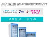 眼科门诊冰箱（用于药物基因检测）FYL-YS-1028L