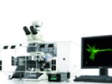 德国徕卡 荧光显微镜系统为高级的成像和分析 LAS X Widefield Systems