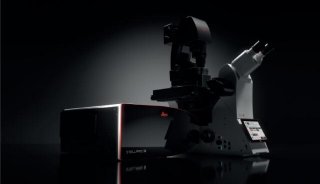 德国徕卡 共聚焦显微镜 STELLARIS 8