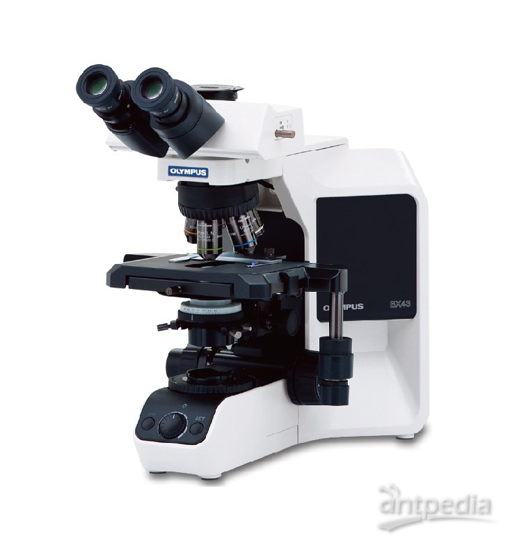 奥林巴斯 BX43 手动系统显微镜