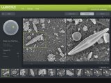 DiatomAI 全自动硅藻检验
